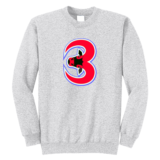 "3" Sweatshirt